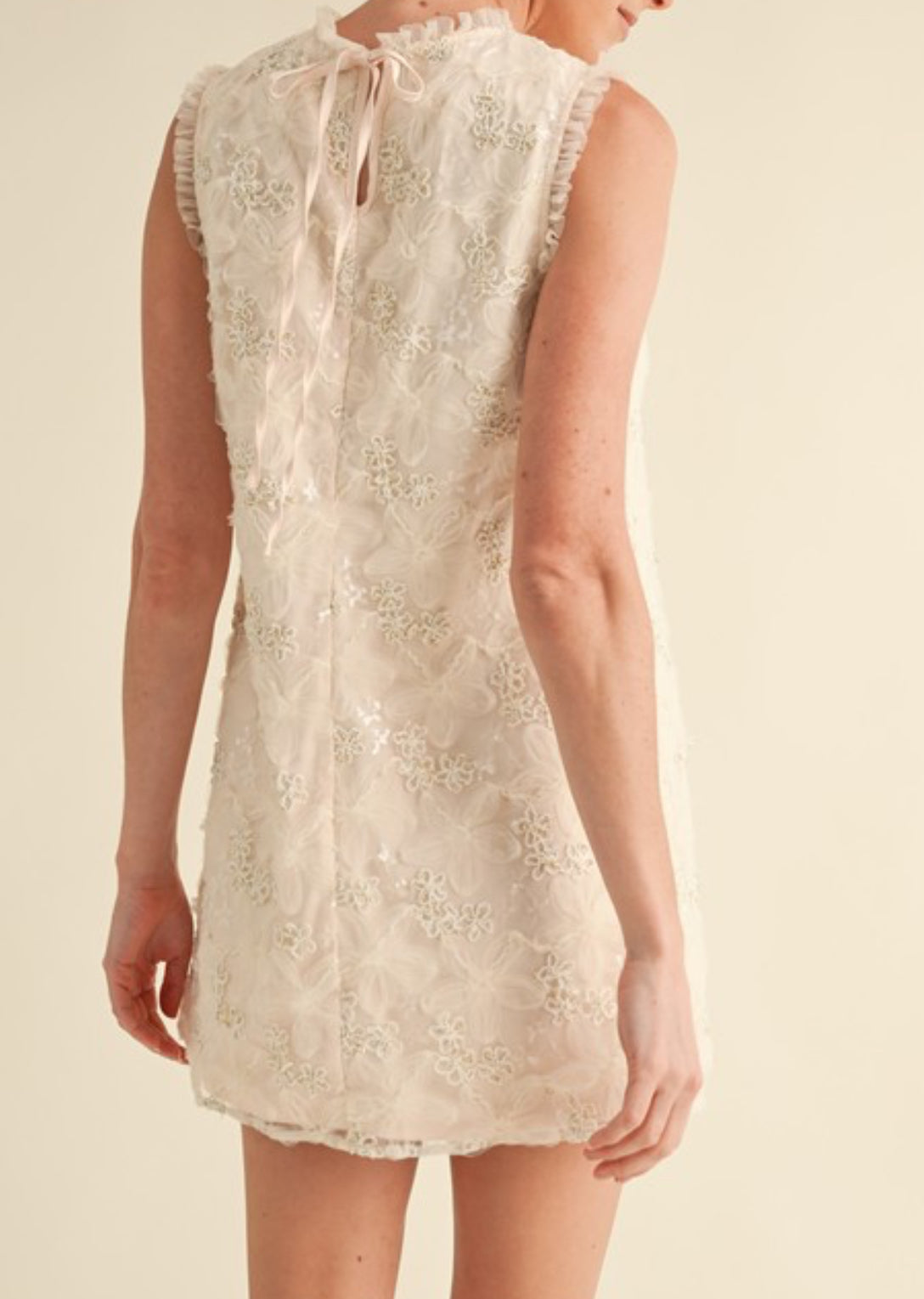 Embroidery Mini Dress